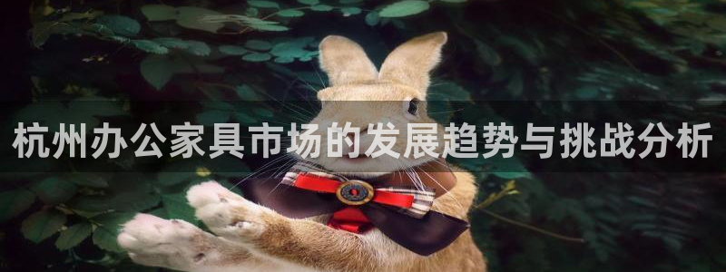 球盟会qm9