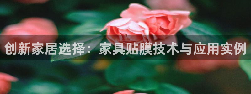 球盟会出款黑了