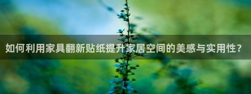 球盟会进不去吗