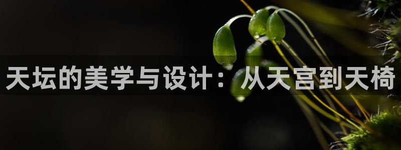 球盟会官方网站是什么
