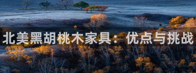 球盟会官方下载