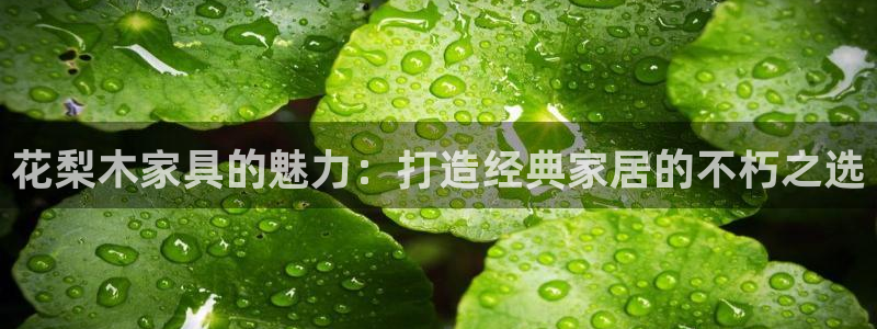 球盟会中国官方网站