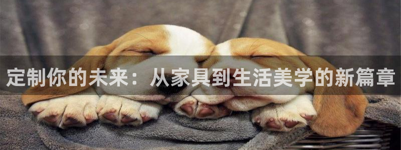 球盟会里面有打牌的嘛
