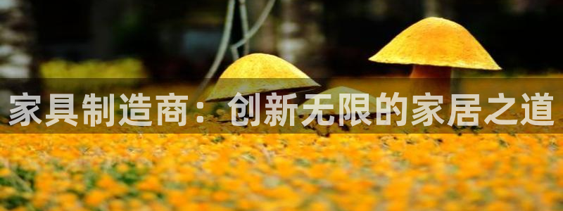 球盟会官方版下载地址