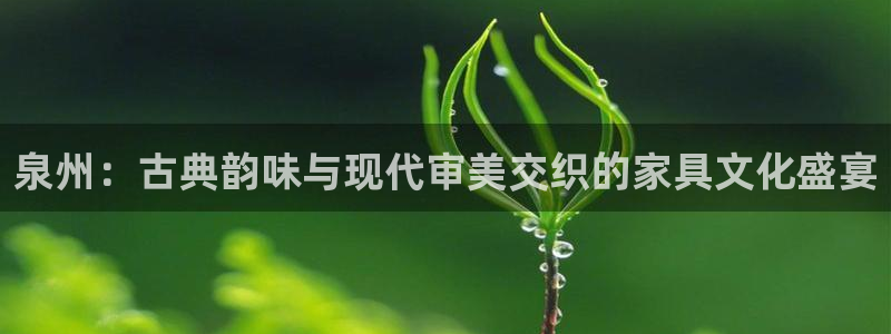 球盟会贴吧