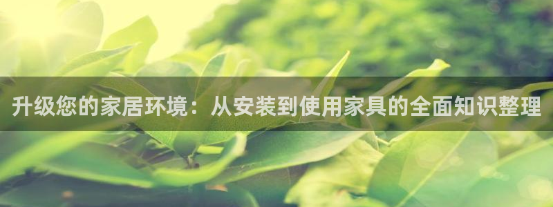球盟会