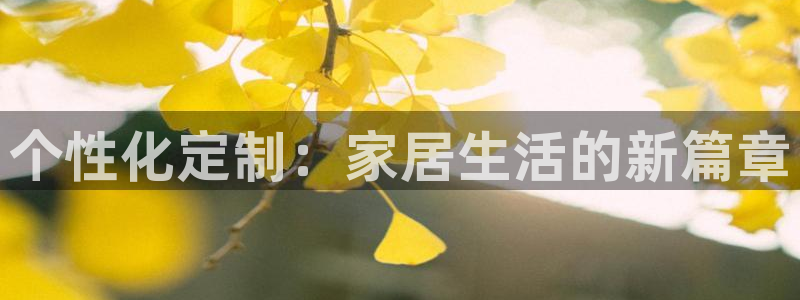 球盟会黑钱