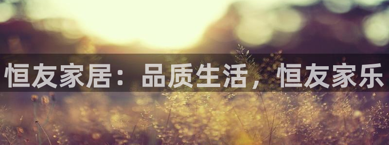 球盟会头号玩家是谁