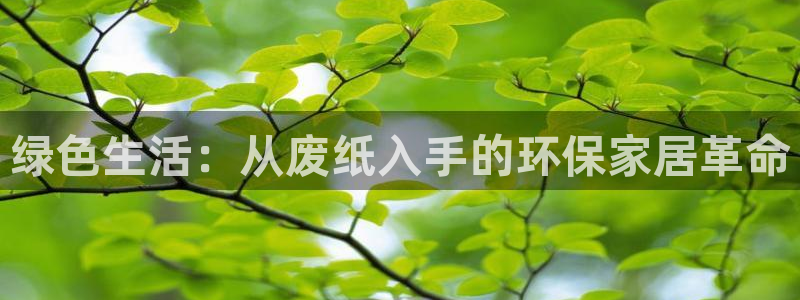 球盟会官方网页登录