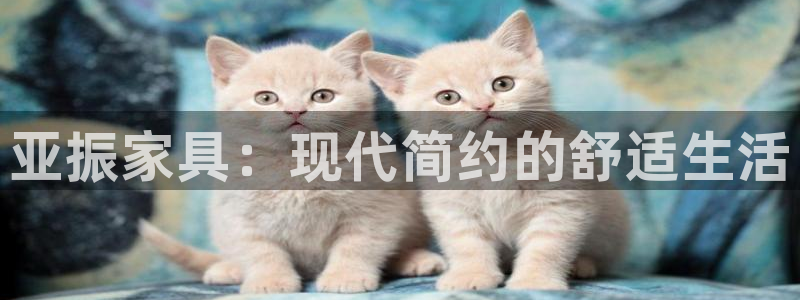 球盟会官网