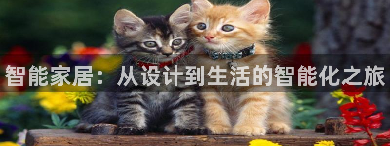 球盟会官方登录平台