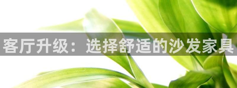 球盟会电子好黑