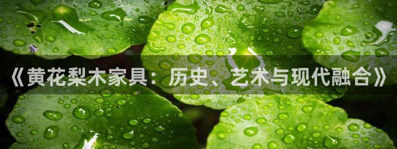 球盟会体验金球奖吗