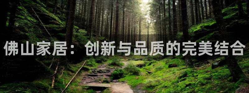 球盟会下载最新版