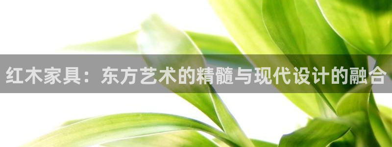 球盟会封禁