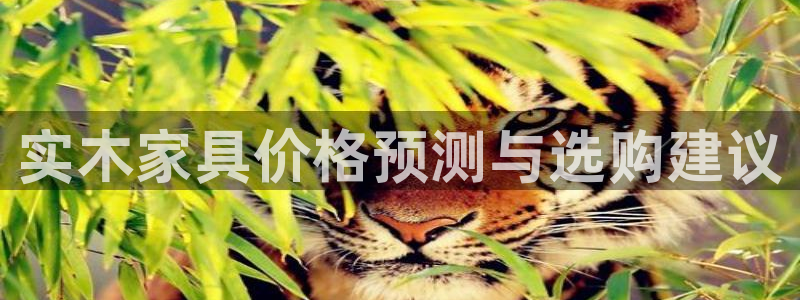 球盟会国际官网