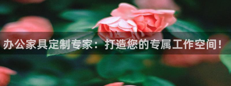 球盟会app入口