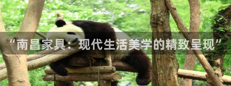 球盟会进不去吗