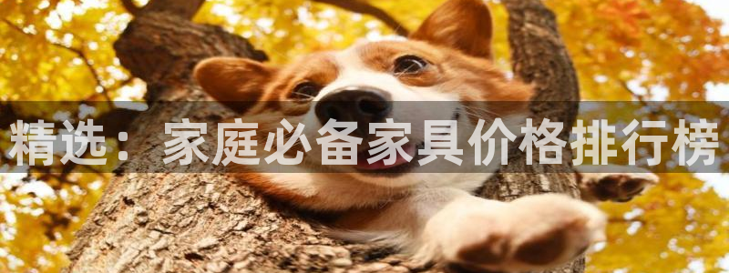 球盟会qm9：精选：家庭必备家具价格排行榜