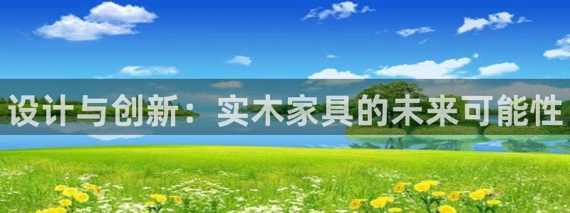 球盟会进不去