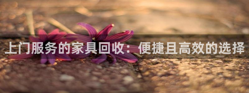 球盟会最新地址备用