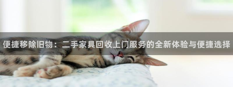 球盟会app最新地址下载安装