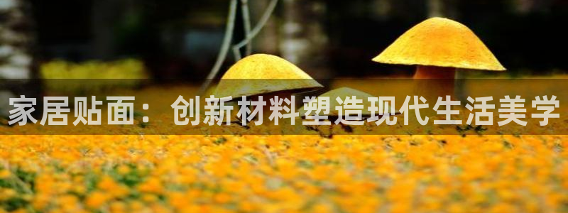 球盟会登录平台入口