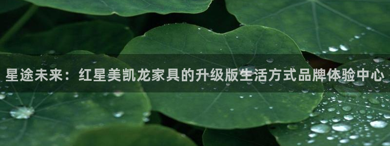 球盟会电子游戏平台