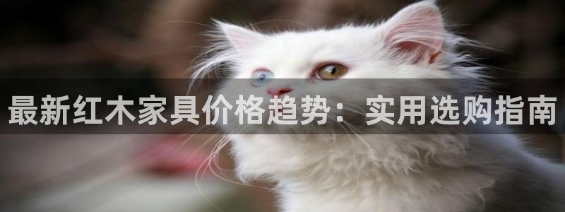 球盟会黑款吗是真的吗