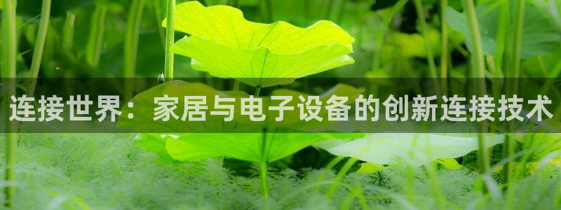 球盟会黑台子吗