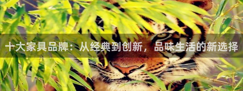 球盟会里面有打牌的嘛知乎