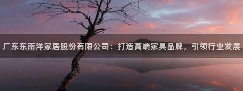 球盟会黑台：广东东南洋家居股份有限公司：打造高端家具品牌，引