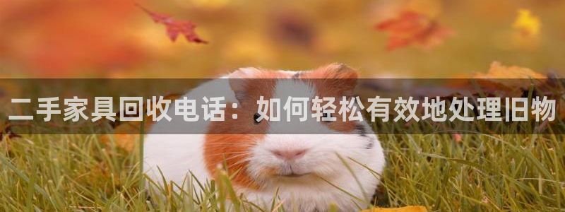 球盟会体育app官方网站