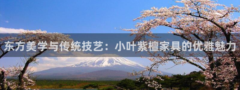 球盟会可以提现么