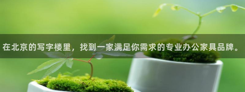 球盟会进不去