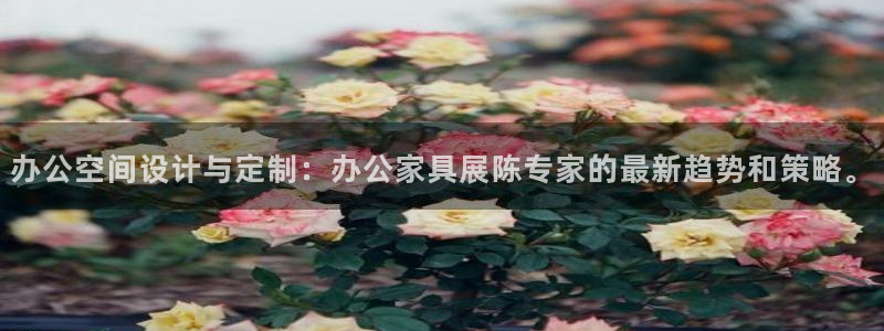 球盟会官方最新入口