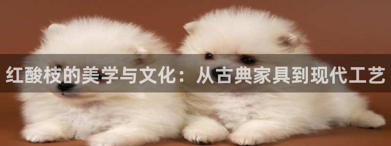 球盟会里面有打牌的嘛是真的吗