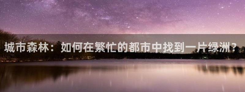 球盟会入口