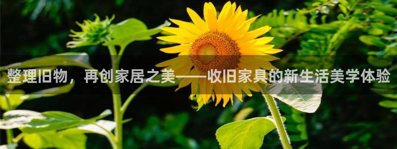 球盟会体育平台