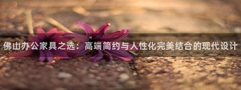 千亿球盟会乐玩