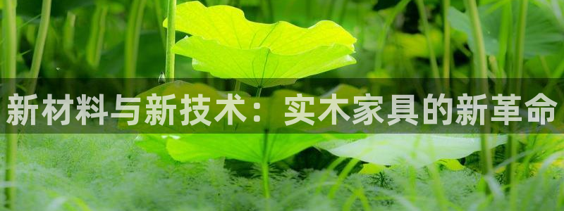 球盟会里面有打牌的嘛是真的吗