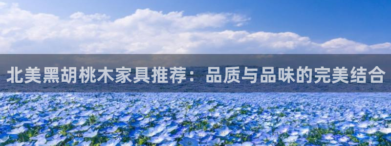 球盟会体验金