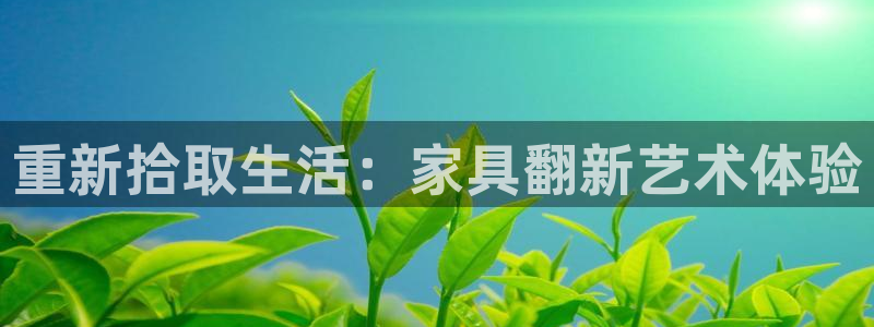 球盟会可以提现么