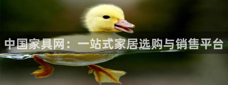 球盟会平台怎么样