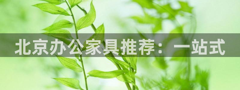 球盟会官方客服