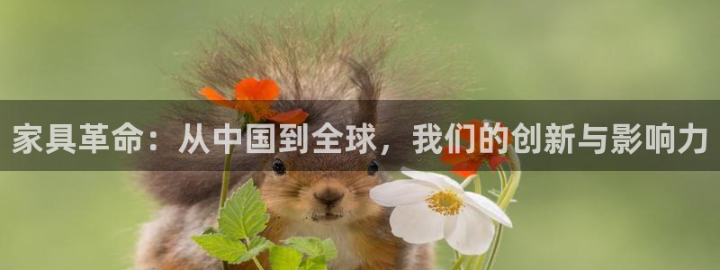 球盟会有限公司怎么样