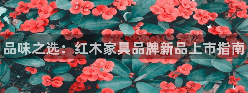 球盟会中国网页登录
