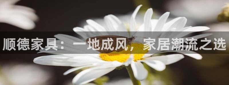 球盟会在线官网