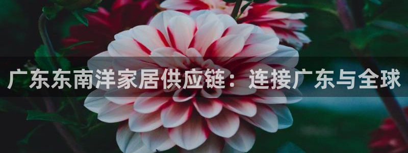 球盟会电子好黑