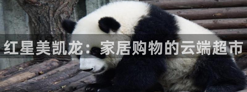 球盟会App：红星美凯龙：家居购物的云端超市